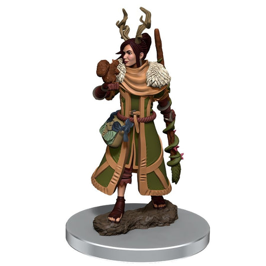 Dungeons & Dragons - Icons of the Realms Premium Female Human Druid